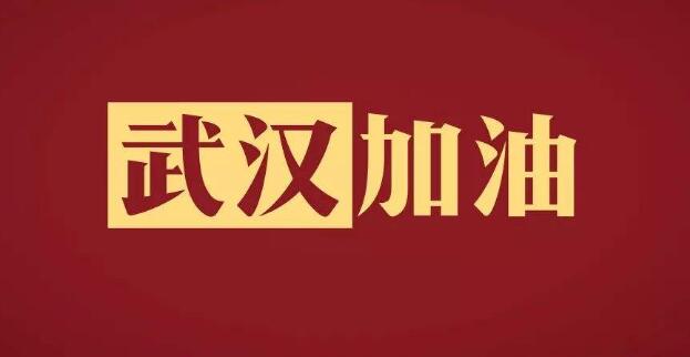 我司铁保宏泰保安公司为武汉打气加油进行募捐